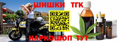 СК Пенза