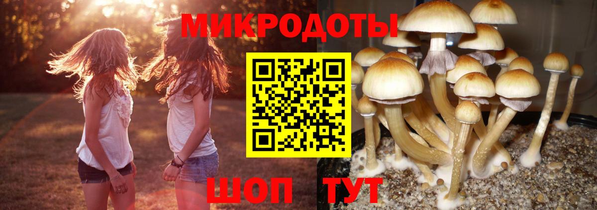 Галлюциногенные грибы мицелий Сердобск